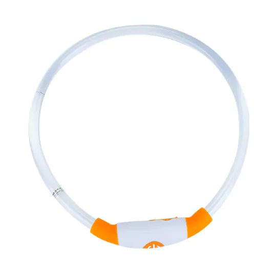 Collar de perro recargable led