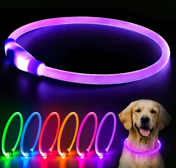 Collar de perro recargable led